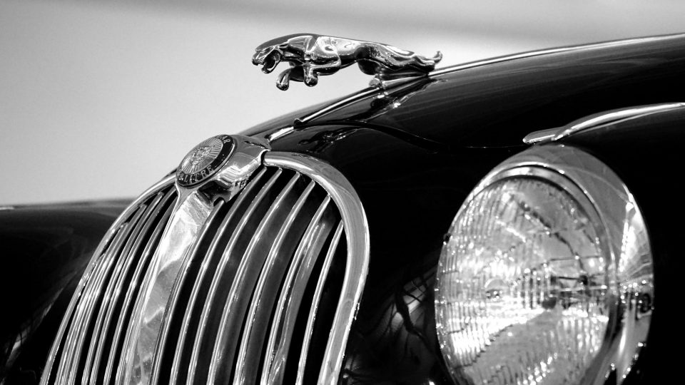 jaguar voorruit vervangen